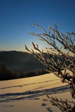 Frozen scenery Stock Photos