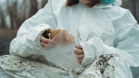 Frozen scientist peels bread outside. Isolation scene with frostbitten survivor Stock Footage 346462462