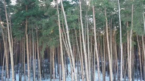 Frozen sea Stock Footage 168884056