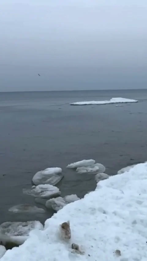 Frozen Sea Ice Formations on Winter Coastline Video stock 330249598