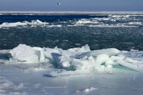 Frozen Sea  Stock Photos