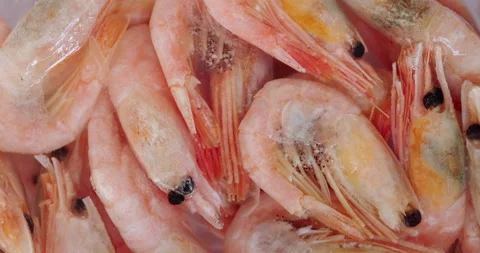 Frozen shrimp Stock Footage 131203329