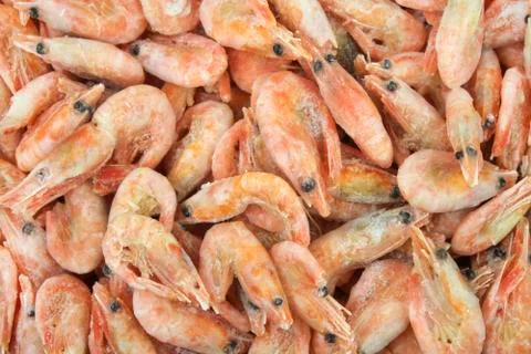 Frozen shrimp Stock Photos