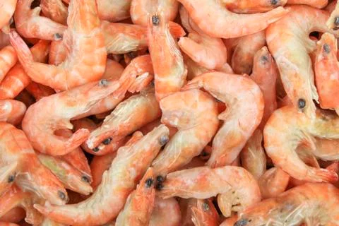 Frozen shrimp Stock Photos