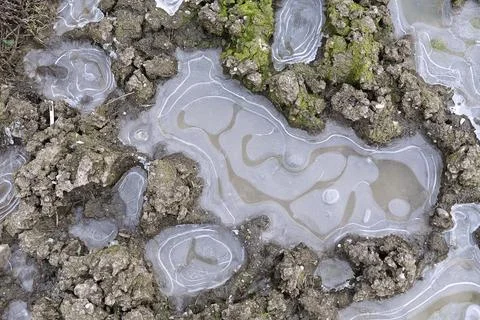 Frozen small ponds background Stock Photos