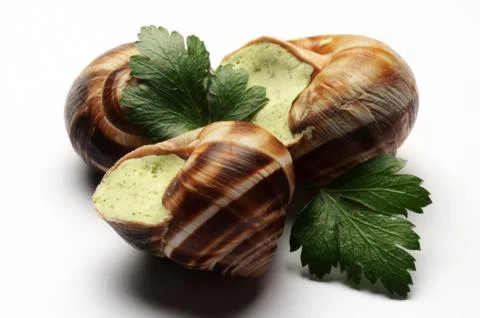 Frozen snails on a white background Stock Photos