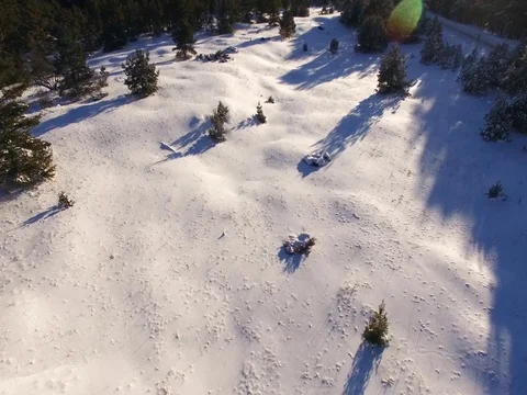 Frozen, Snow-covered Dunes Stock Footage 71285699