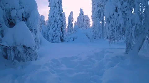 Frozen snow-covered winter forest, deeply covered with snow in sunlight.  Stock Footage 270698172