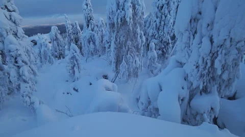 Frozen snow-covered winter forest, deeply covered with snow in sunlight.  Stock Footage 270698713
