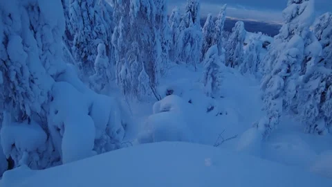 Frozen snow-covered winter forest, deeply covered with snow in sunlight.  Stock Footage 270699498