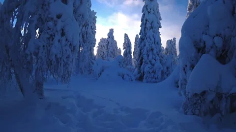 Frozen snow-covered winter forest, deeply covered with snow in sunlight.  Stock Footage 270699851