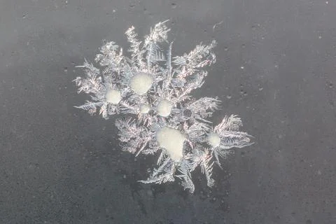 Frozen snowflake on dark, smooth surface Stock Photos