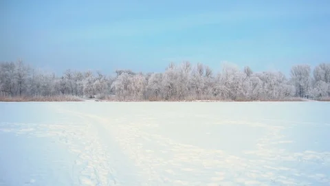 Frozen snowy river in the forest, winter day Stock Footage 101581652