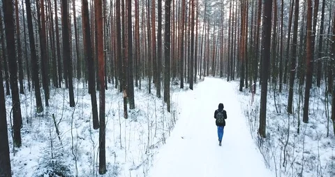 Frozen snowy spruce forest. North Winter landscape. top view. Beautiful nature Stock Footage 101981097