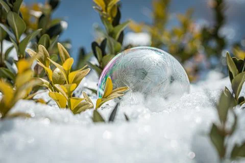 Frozen soap bubble with a beautiful pattern on the snow close up on a blurry Stock Photos
