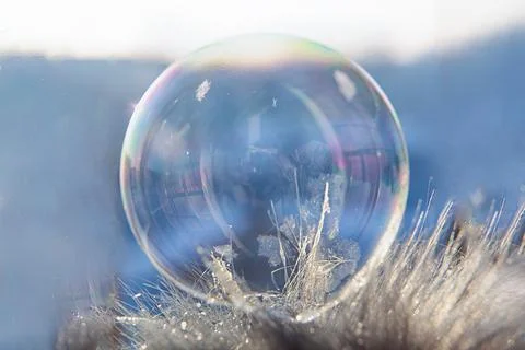 Frozen soap bubble with a beautiful pattern on the snow close-up on a blurry Stock Photos