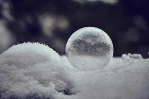 Frozen soap bubble Stock Photos