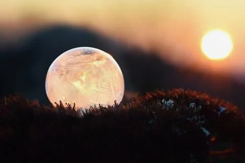 Frozen soap bubble within a cold winter sunset Stock Photos