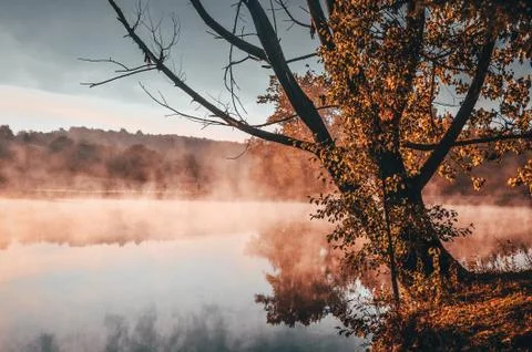 Frozen spider web during calm autumn morning near by lake with colorful trees Stock Photos