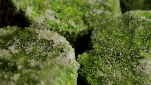 Frozen spinach briquettes rotating in circle, close-up view of green vegetable Stock Footage 304324398