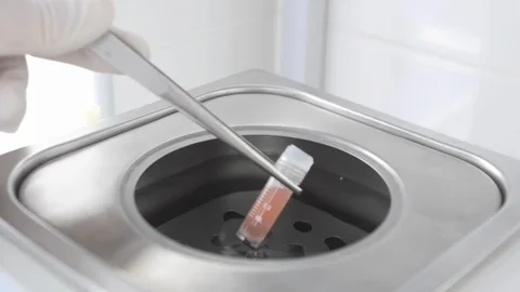 Frozen stem cells are heated in a water bath Video stock 121985526