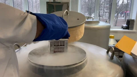 Frozen stem cells in test tubes are put into the container with nitrogen Vidéo 123442892