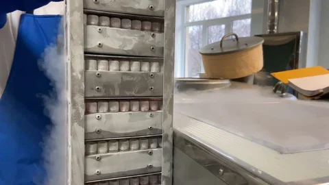 Frozen stem cells in test tubes are removed from the container with nitrogen Vidéo 123442933