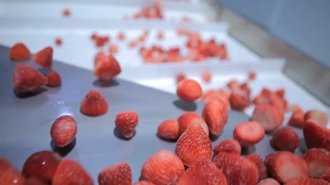 Frozen Strawberries Processing Factory Stock Footage 126066173