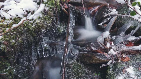 A frozen stream in the Bohemian Forest 01 - (4K timelapse) Stock Footage 252673654