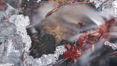 A frozen stream in the Bohemian Forest 02 (4K timelapse) Stock Footage 252673653