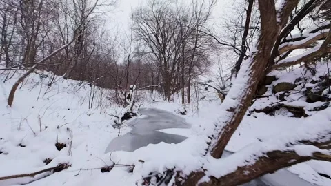 Frozen stream flowing through winter nature Stock Footage 323338962