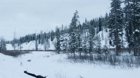 Frozen Stream 스톡 동영상 61017689