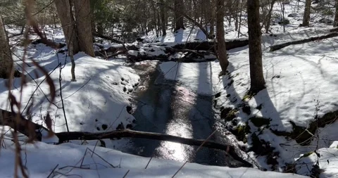 Frozen stream Stock Footage 265192068
