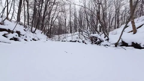 Frozen stream in peaceful winter park Stock Footage 323338809