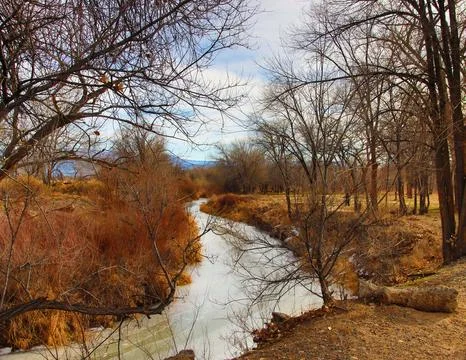 Frozen stream Fotos Stock