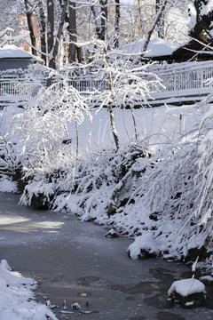 Frozen Stream with Snow-Covered Tree Stock Photos
