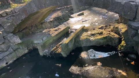 Frozen stream under a stone bridge in winter in the rays of the sun.	 Stock-Footage 302282842
