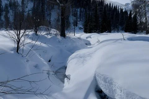 A frozen stream in a winter forest in the mountains Stock Photos