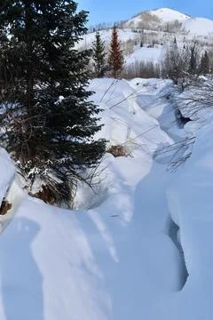 A frozen stream in a winter forest in the mountains Stock Photos