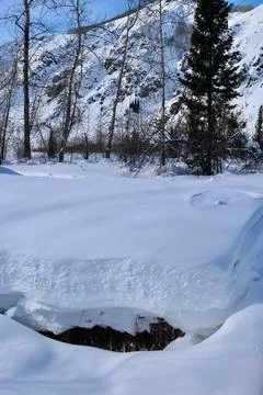 A frozen stream in a winter forest in the mountains Stock Photos