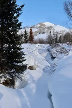 A frozen stream in a winter forest in the mountains Stock Photos
