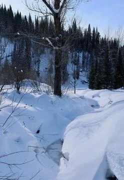 A frozen stream in a winter forest in the mountains Stock Photos
