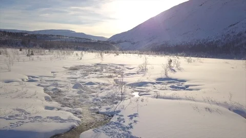 Frozen surface covered with thick snow layer and rare plants Stock Footage 112531205