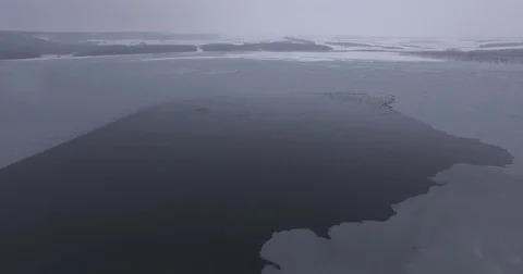 The frozen surface of the lake, birds fly, cold winter Stock Footage 83565509