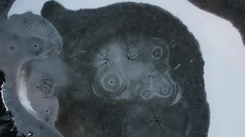 Frozen swamp Stock Footage 256991986