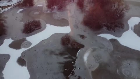 Frozen swamp Stock Footage 257004125