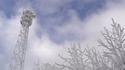 Frozen telecom tower and snow covered plants in front of moving clouds or fog Stock Footage 146397297