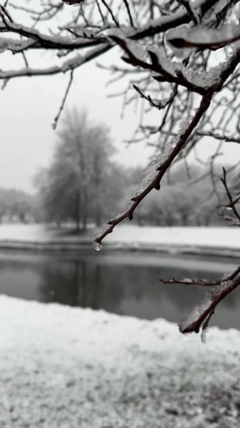 The frozen thaw Stock Footage 321793331