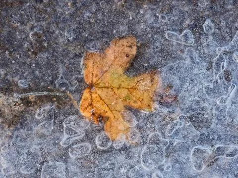 Frozen in time. Stock Photos