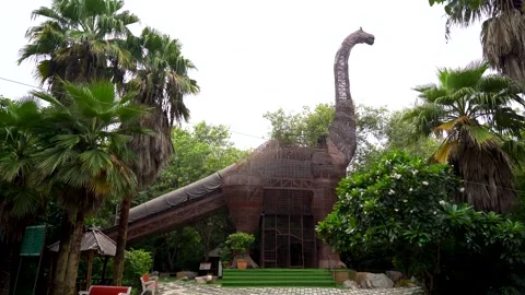 Frozen in Time: A Stunning View of the Dinosaur Era Stock Footage 317093233